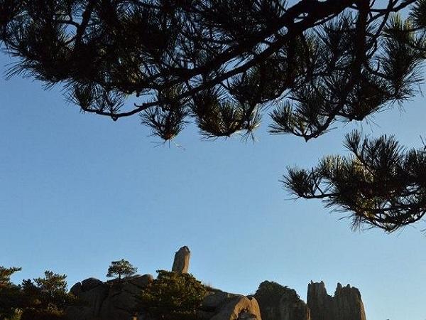 贾宝玉为什么在贾家处于核心地位?第一，他是“神瑛侍者”下凡。第二，他佩带的通