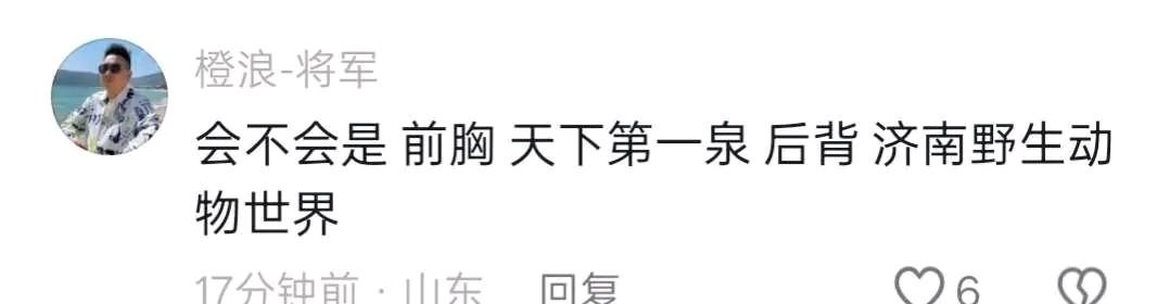 济南野生动物园将赞助山东泰山队？网传山东泰山队胸前，后背广告！山东泰山球迷圈