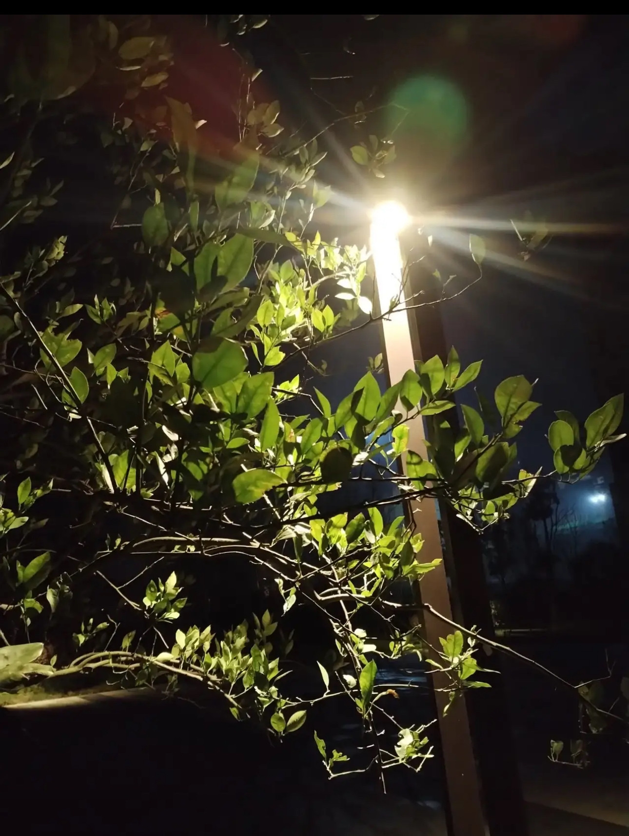 表妹明天要去北京治病。今晚趁她老公接孩子时，我被叫过去。她怀疑老公居心不良，提前