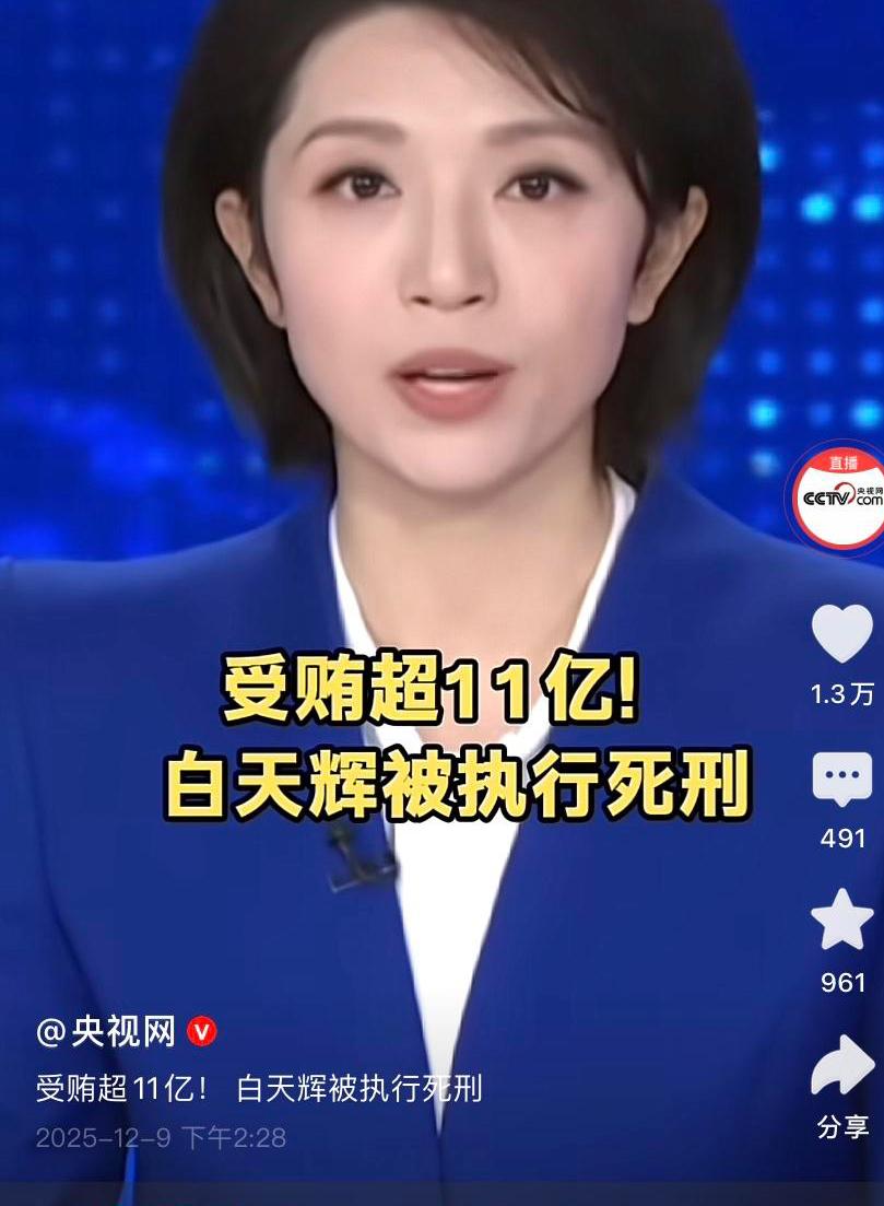 白天辉受贿超11亿被执行死刑了，1100000000元，我足足数了10遍才确认