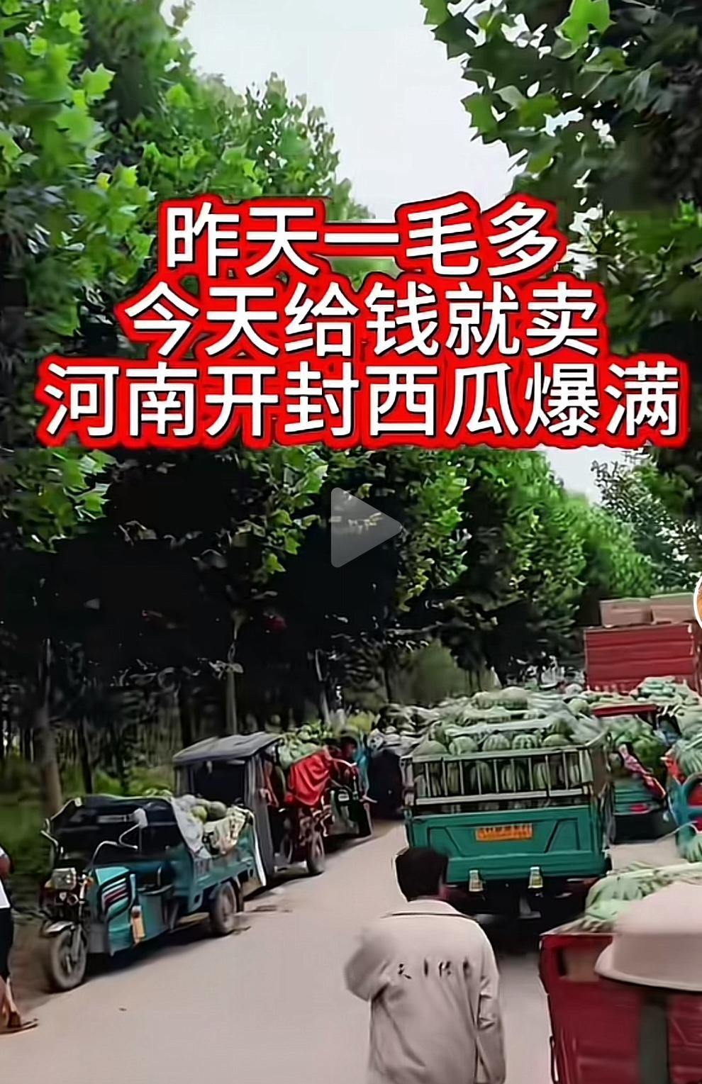 今年河南西瓜滞销，路两边停着装满的瓜车，就是卖不出去，价格便宜，残次瓜在地头仅售