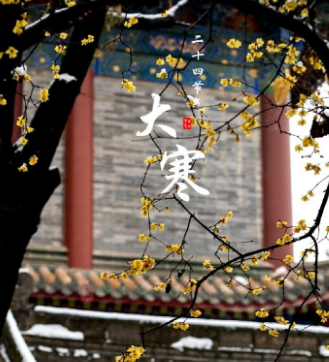 今日大寒，是二十四节气中的最后一个节气，也是二十四节气轮回的最后一站。同时还是一