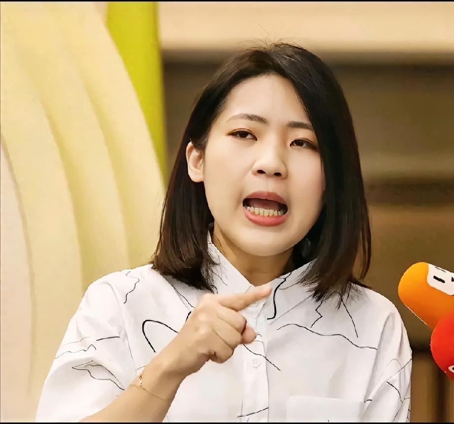 徐巧芯把《中华人民共和国民族团结进步促进法》所倡导的中华民族团结、鼓励民间交融，