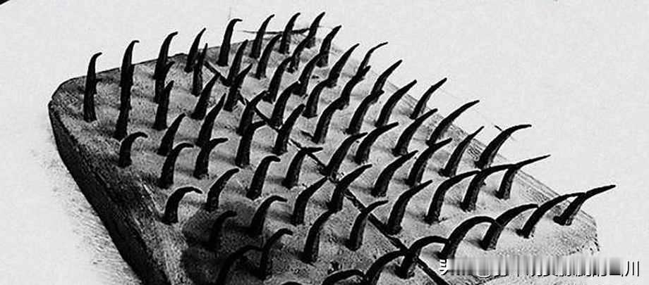 1941年冬，怀孕7个月的周化祯被反绑在刑架上，隆起的腹部刚被烧红的烙铁按过，日