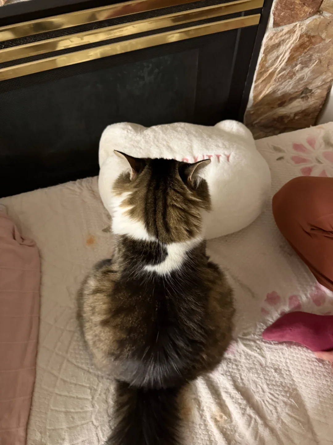 我家孩子能当童模吗？