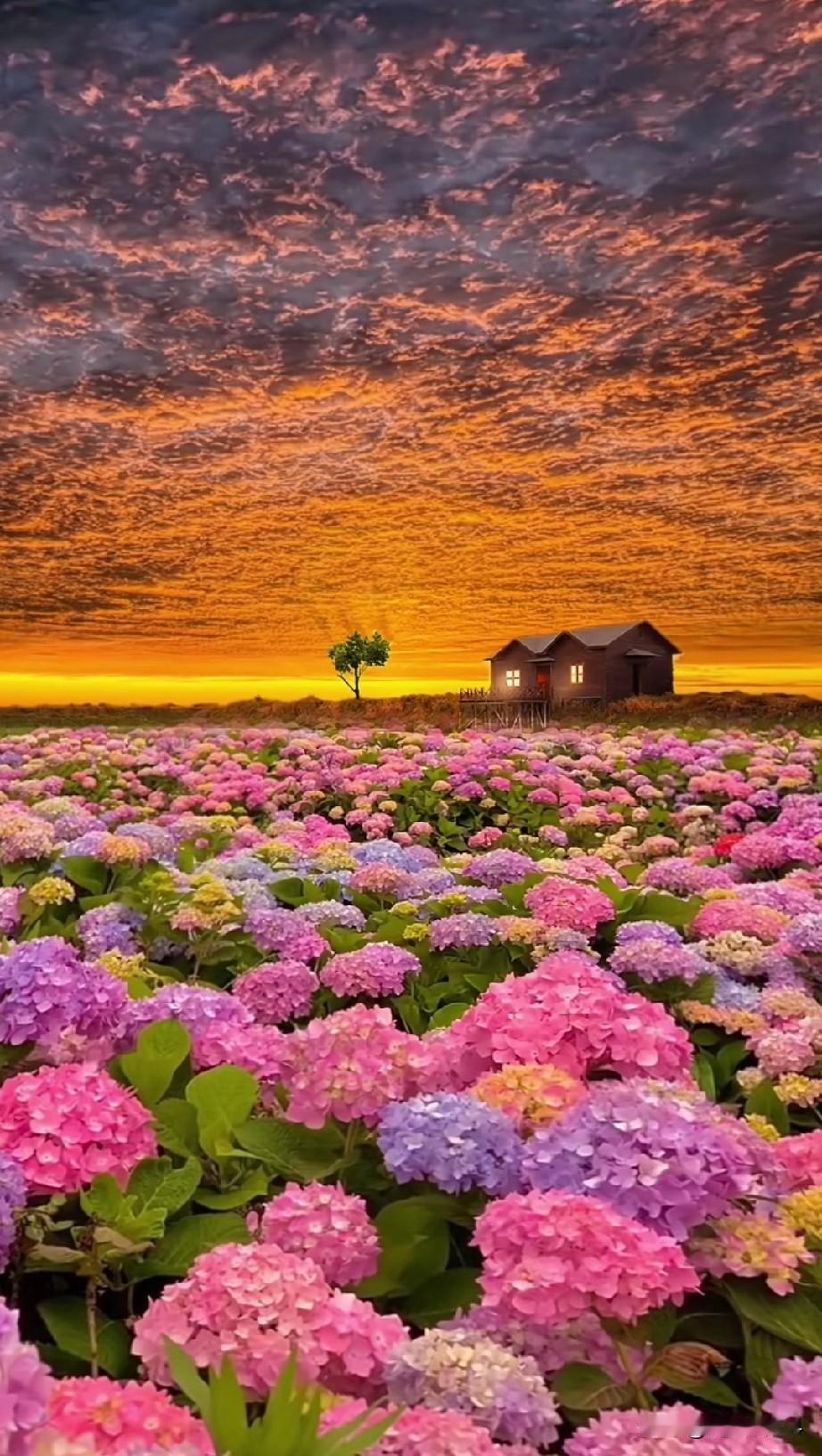 我胃癌后为什么按医生的要求，21天为一个化疗疗程？说起这件事的