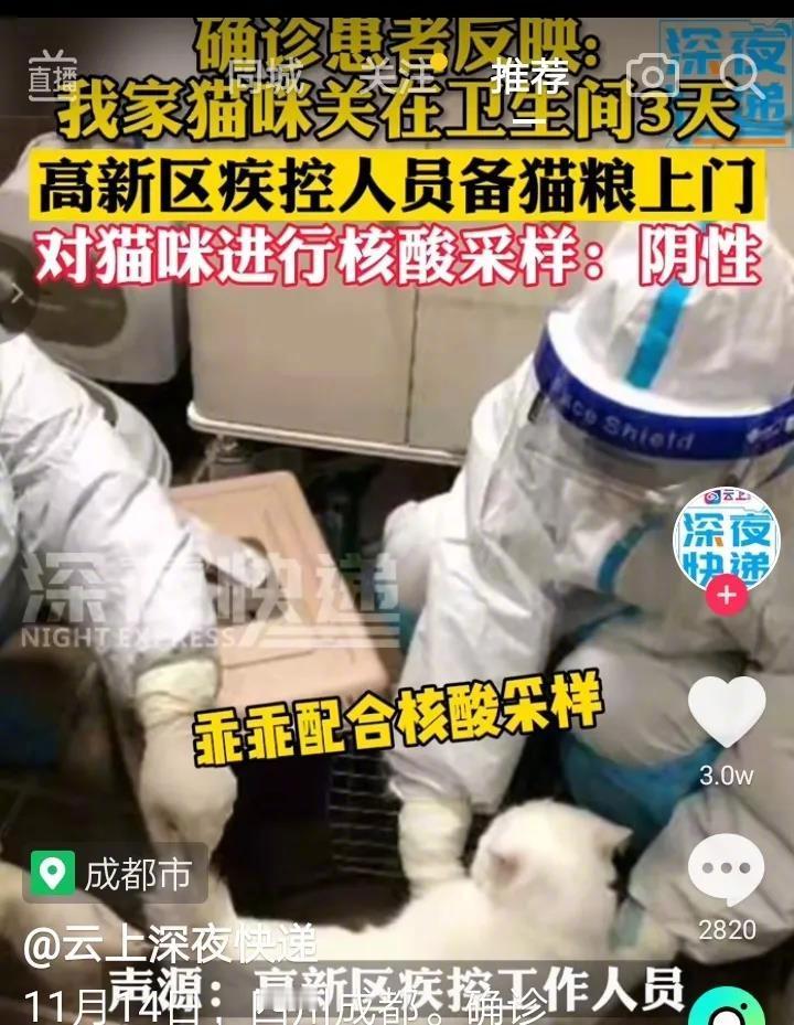 四川成都高新区一确诊患者家的猫咪在卫生间已呆了三天。高新区的疾控人员带着猫粮上门
