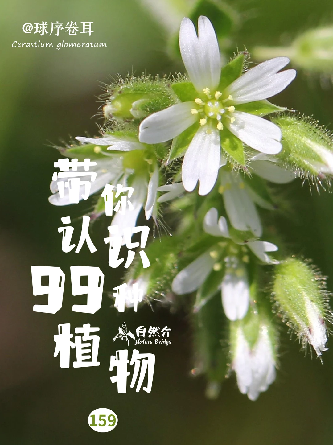 带你认识99种照片