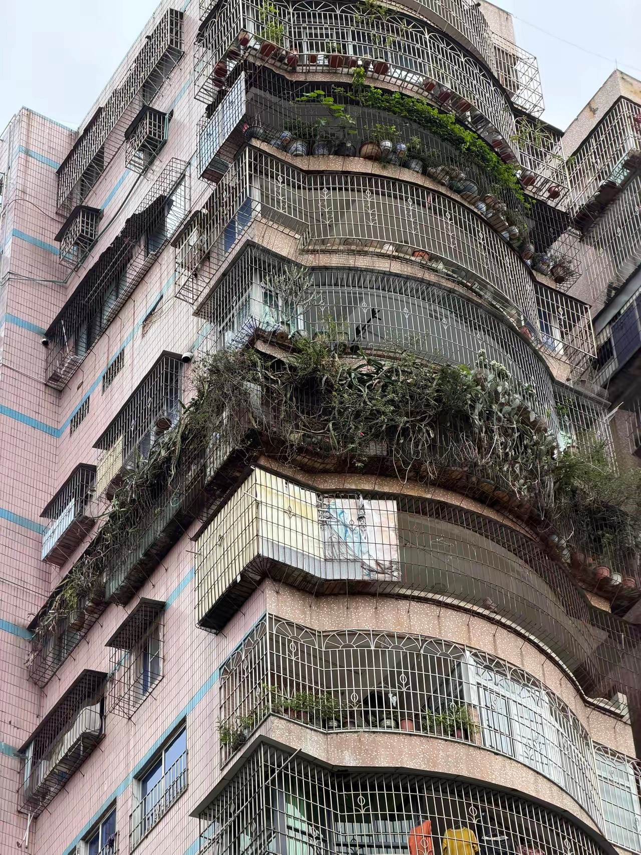 这种房子还有人住吗？整个阳台种满了植物感觉已经密不透光了好奇房子里面是啥样的​