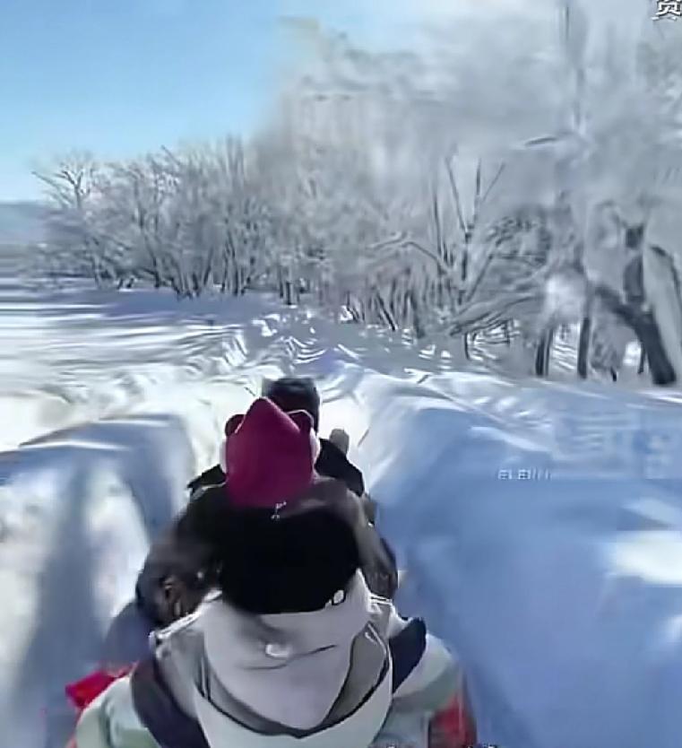 哈尔滨对于游客的服务只能说是整个东北最好的最近，哈尔滨机场推出了一项最新服务，