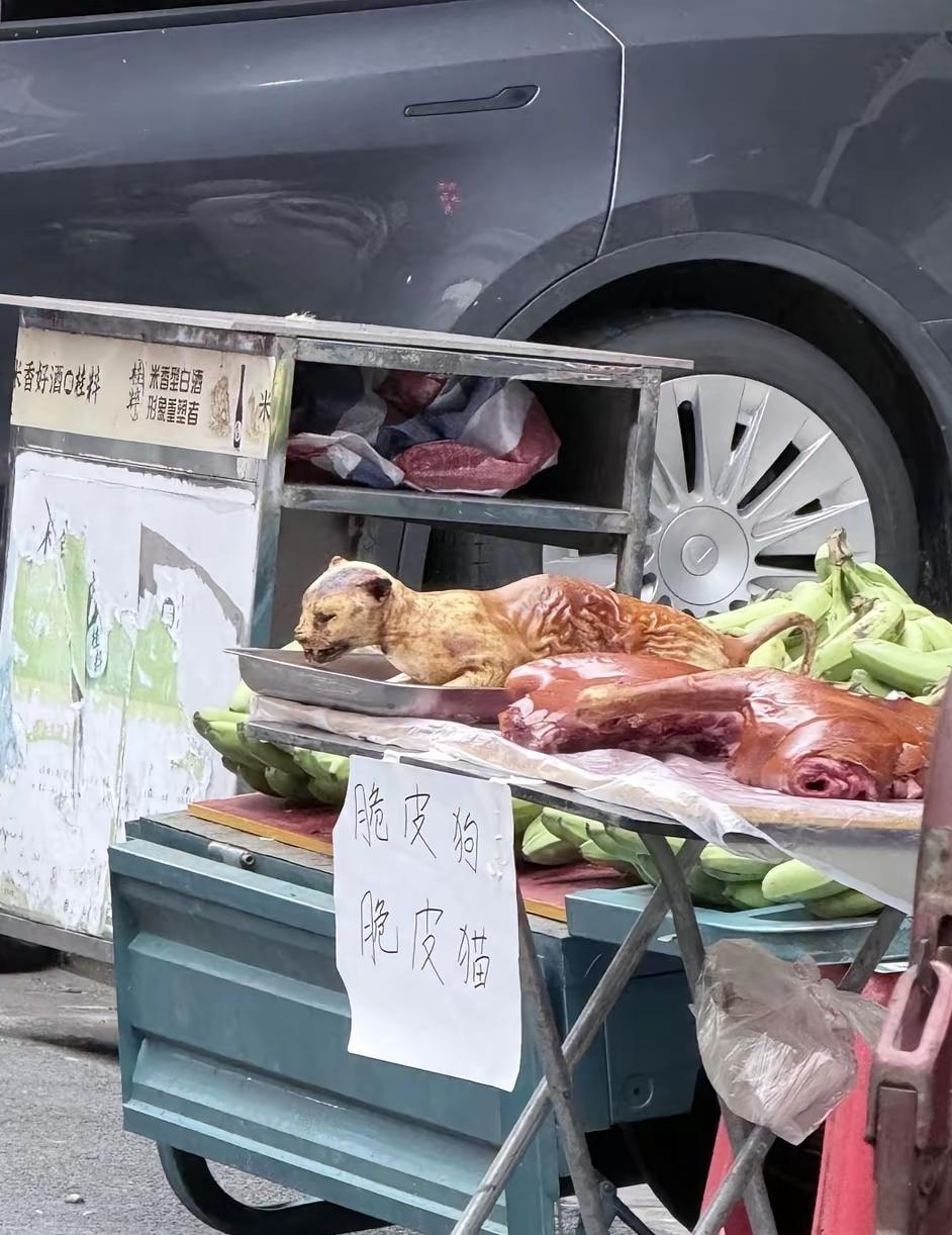 我知道有人吃狗，甚至还有个狗肉节，我不知道的是猫居然也有人吃，理解不了，餐桌上真