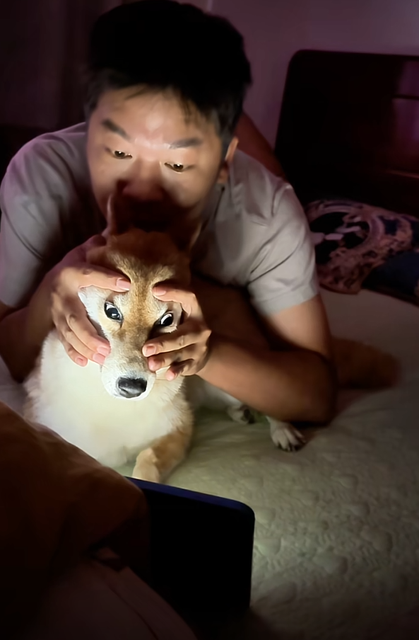 半夜想看恐怖片还好有狗子陪我
