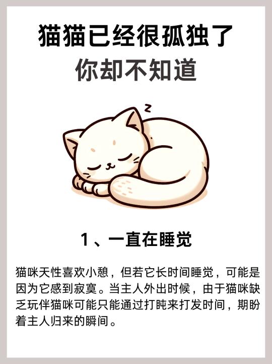 养了8年猫，这些知识我竟不知道！