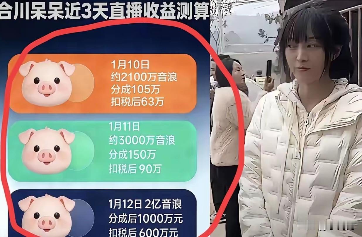 由于呆呆的“闯祸”，让合川文旅接到了这破天的富贵，看似“无心插柳柳成荫”，其实