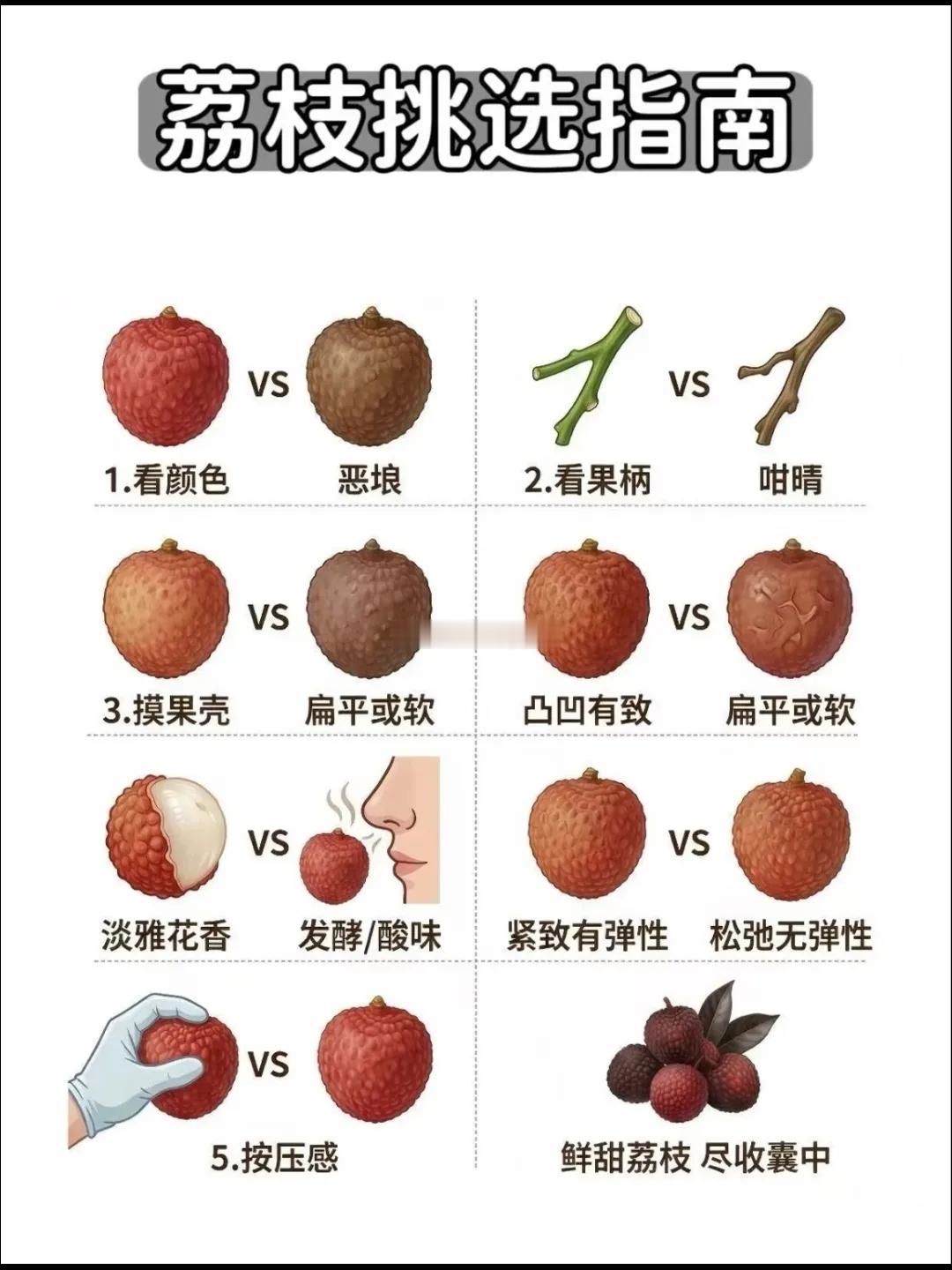 市面上的荔枝品类繁多，很多人买时都分不清好坏。从妃子笑、糯米糍到无核荔枝，不同品