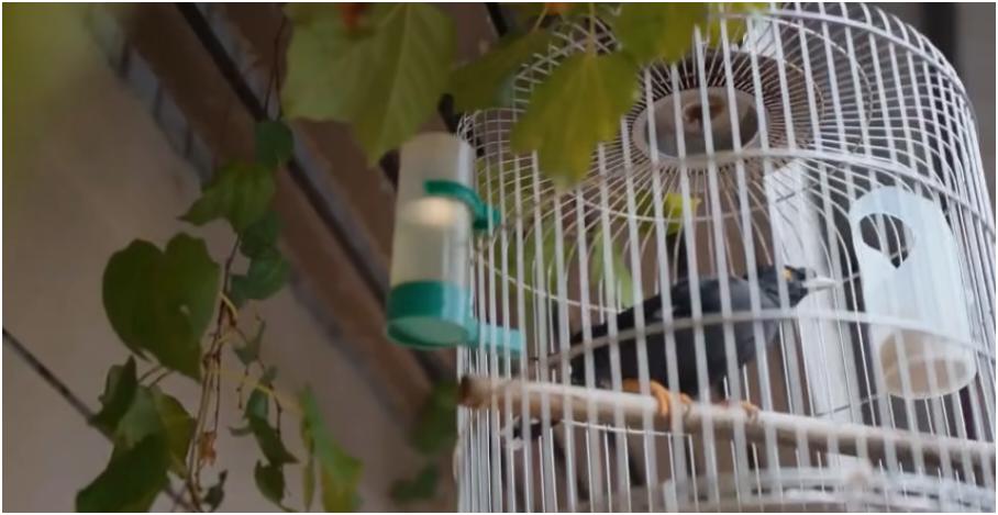 网红阿可这炒股经历，简直比坐过山车还刺激！十七岁就开始炒股，十八岁就赚了一百万，