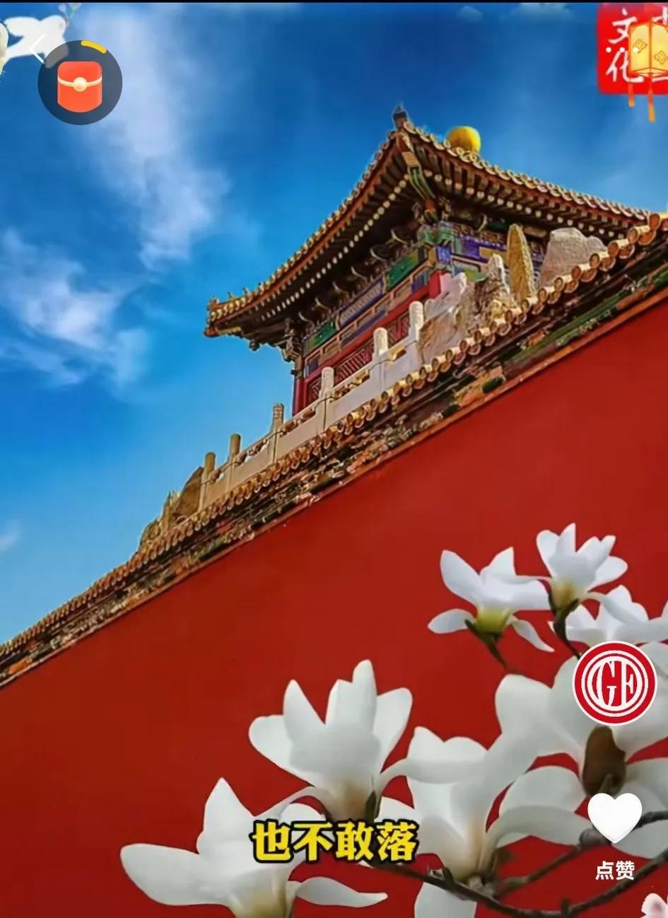 故宫金顶为啥不落鸟儿？我看了网上一堆叭叭儿的，说得都不靠谱不在理，我认为就一个