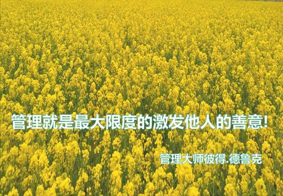 前几天，一位家长投诉学校，说某个班老师在手机上布置作业，把作业内容发放到手机上，