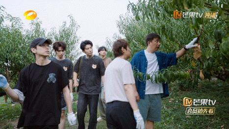 向往的生活下期预告跟朋友说下期必看，青春小队把蘑菇屋的氛围拉满了！水仗的欢乐、