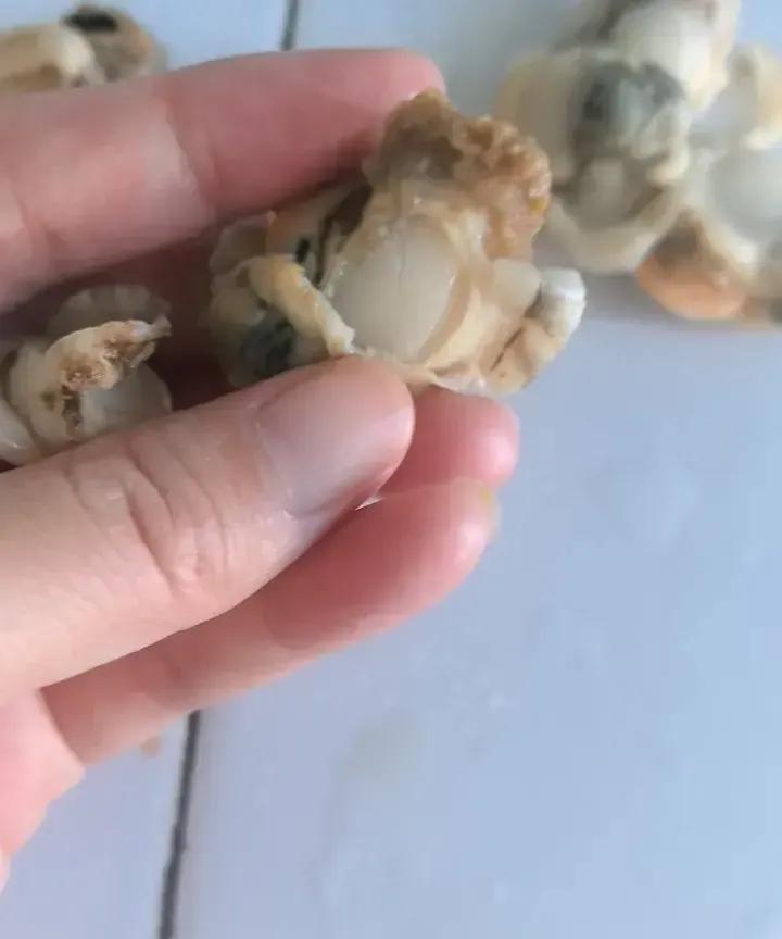 有人网购冷冻扇贝肉，客服一句“整个都能吃”把她整不会了，褐色膜边边像腮又像内脏，