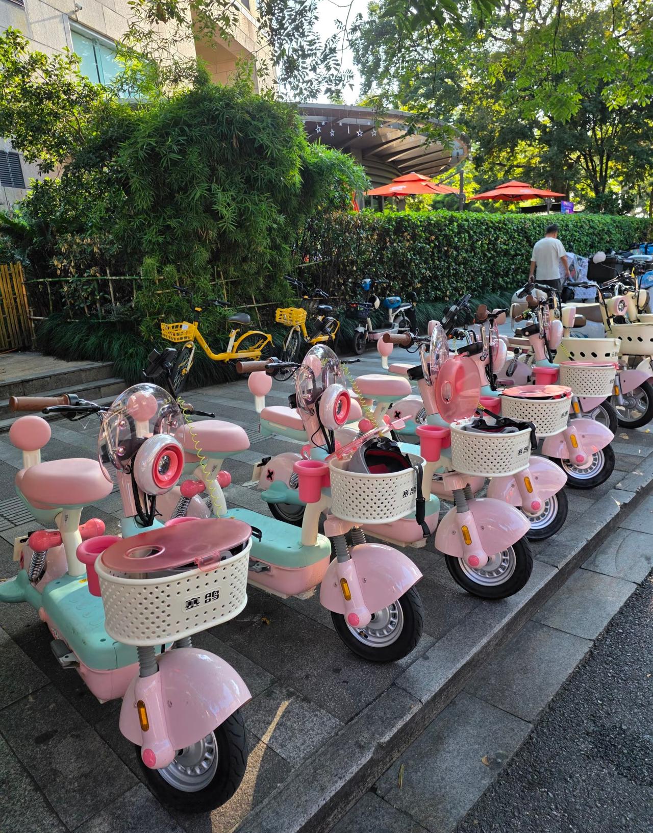 西湖边上的共享小电驴，骑之前建议你最好先看一下！去年西湖周边突然冒出了很多小