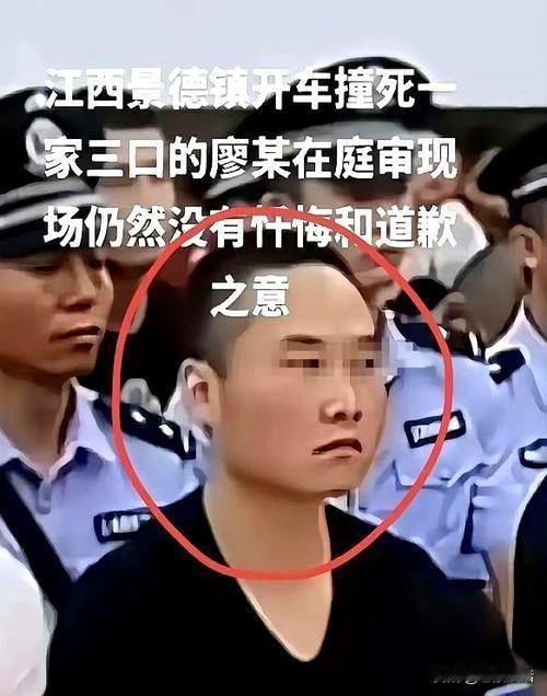 景德镇廖某宇为发泄情绪飙车撞死一家3口被判死缓引争议。案件的大致经过：20