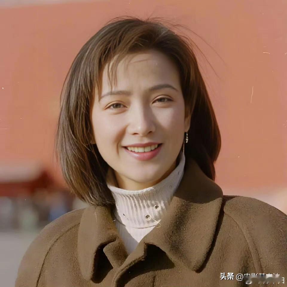 何晴有一张完美无暇的脸庞，真的漂亮，堪称完美，略带忧伤的眼睛尤为动人，演技也是非