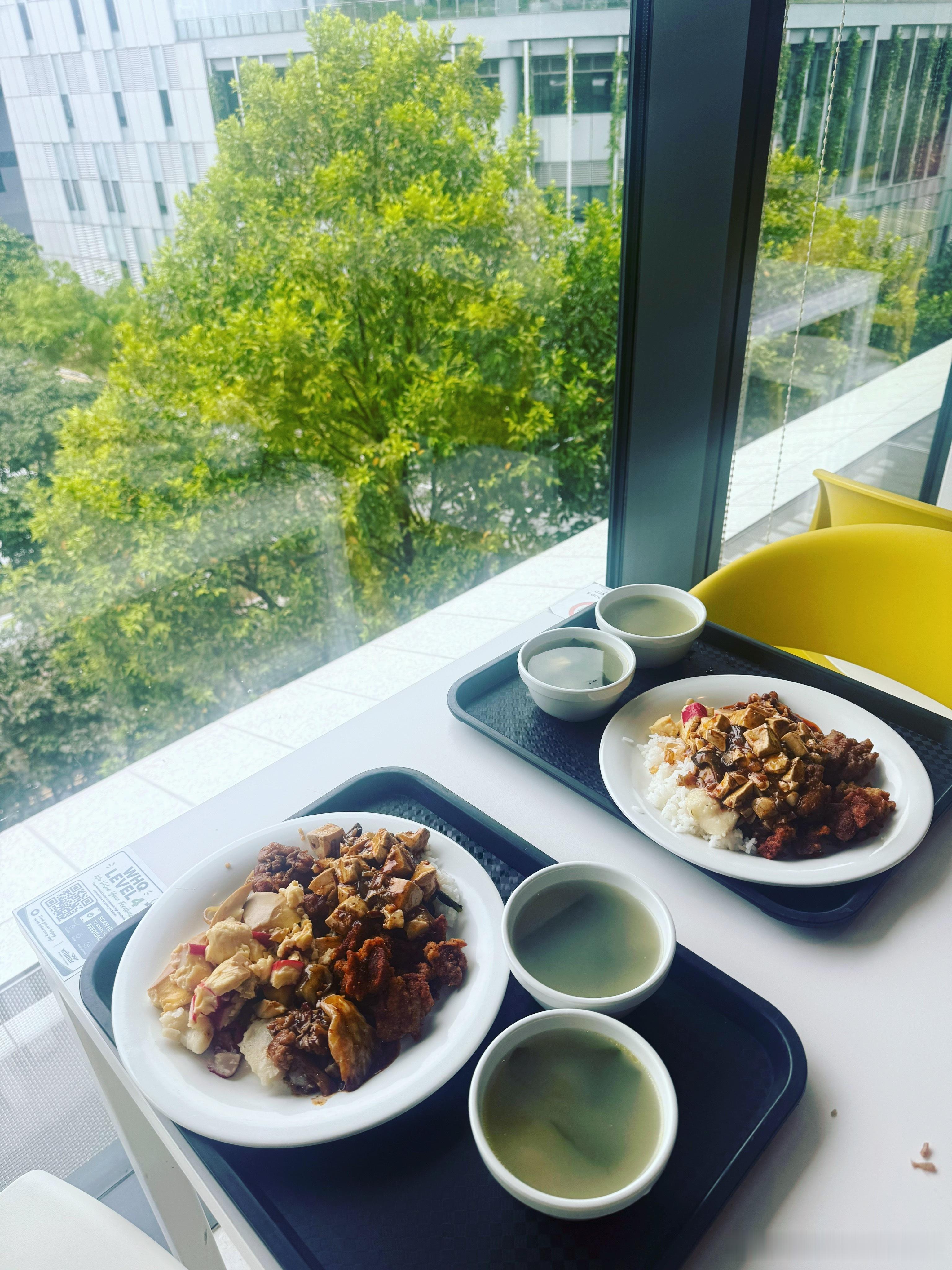 这几天的午餐。在Wilmar（世界五百强）的员工餐厅吃自助餐。一个人8新币。好好吃饭我的美食日记本来