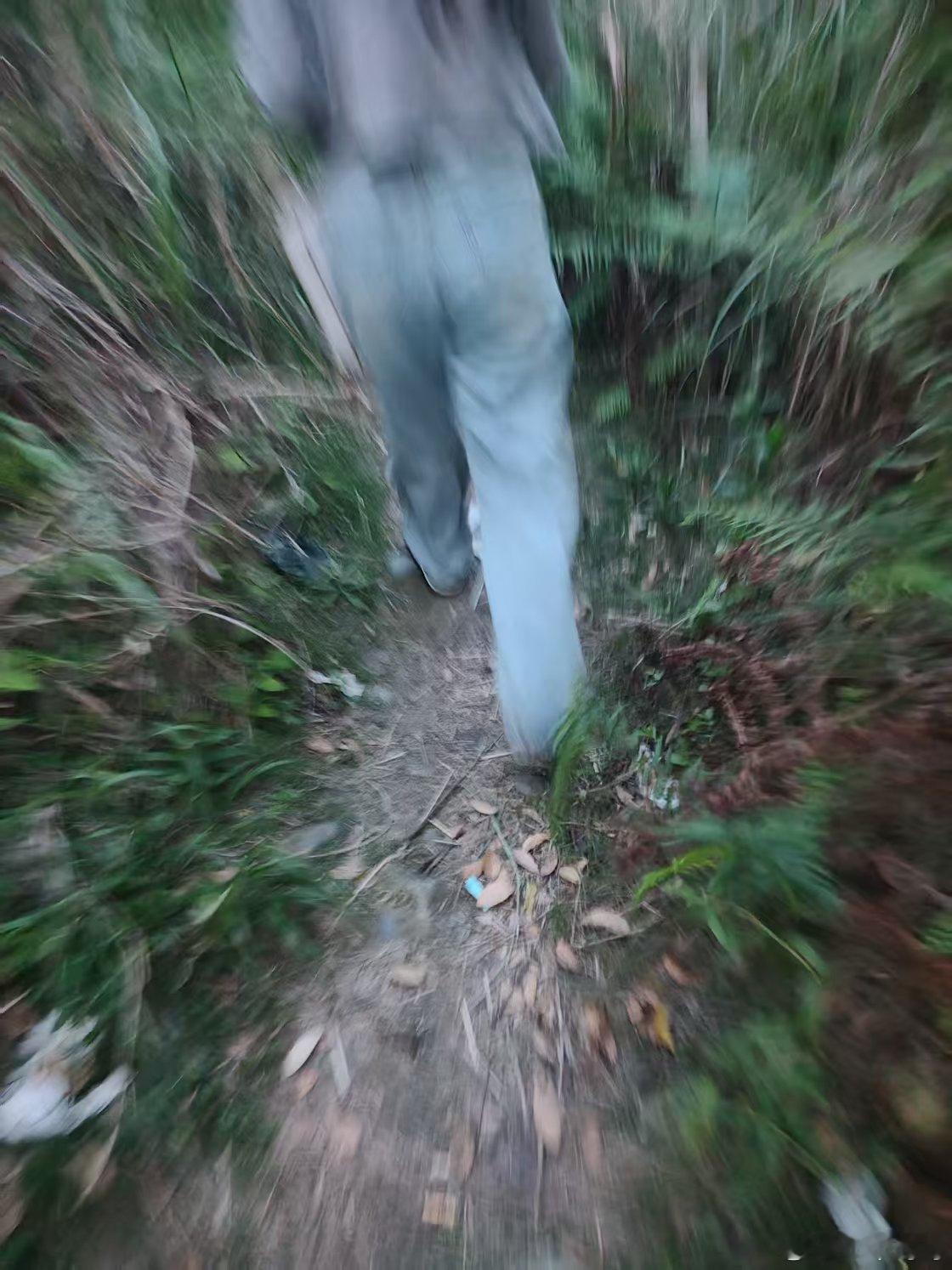 公园里的奇怪现象​​​