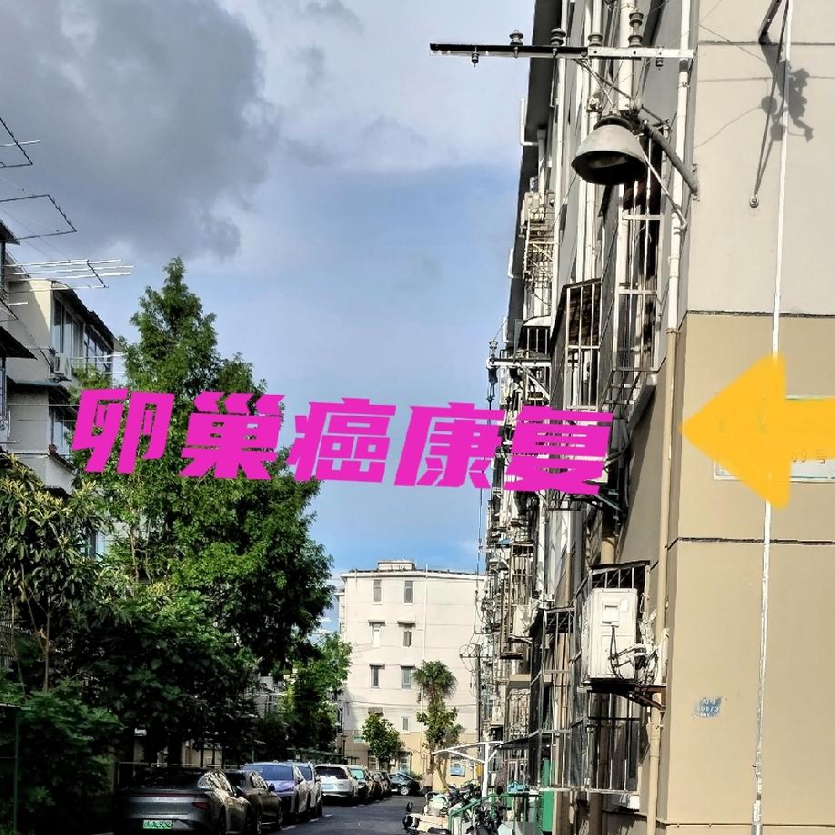 本人2018.初确诊卵巢癌，三期。已经康复8年。只是首轮治疗，经历过大大小小1