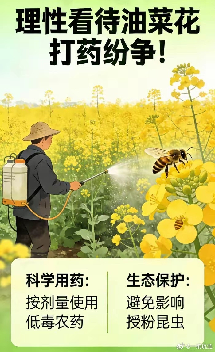 官方这次是真下重手了！农药违法行为，零容忍、严打击、绝不姑息！前段时间一段视频看