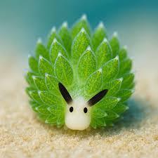 这是“叶羊”海蛞蝓，少数能进行光合作用的动物之一。它通过吃藻类吸收叶绿体来获得这