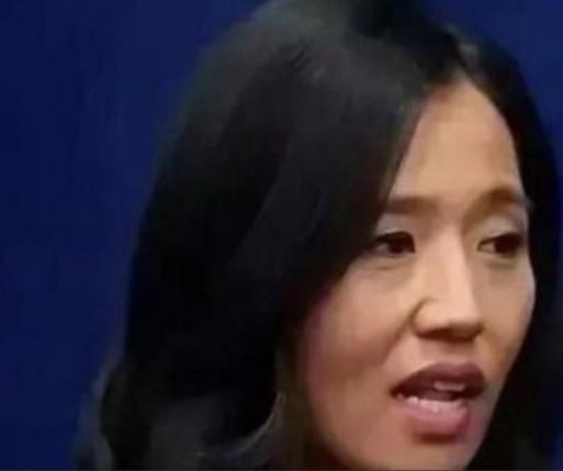 这话够震撼！美国波士顿华裔女市长吴弭，竟公开表示，在美国，诸如商店小偷小摸、砸毁