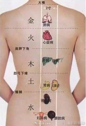 你的“背”泄露你的“病”！赶紧看看~背部是以脊椎为中心的整个人体的全息缩影，人体