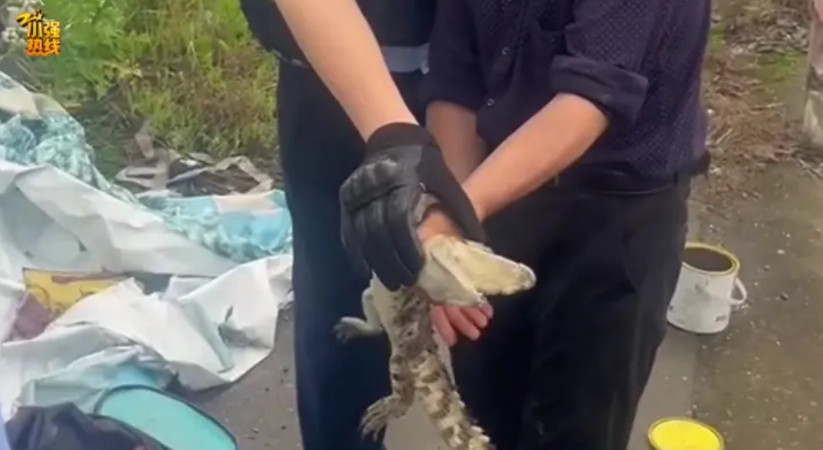 吓一大跳！浙江一男子钓鱼竟然钓到了……异常凶猛！近日，宁波奉化岳林派出所接到一