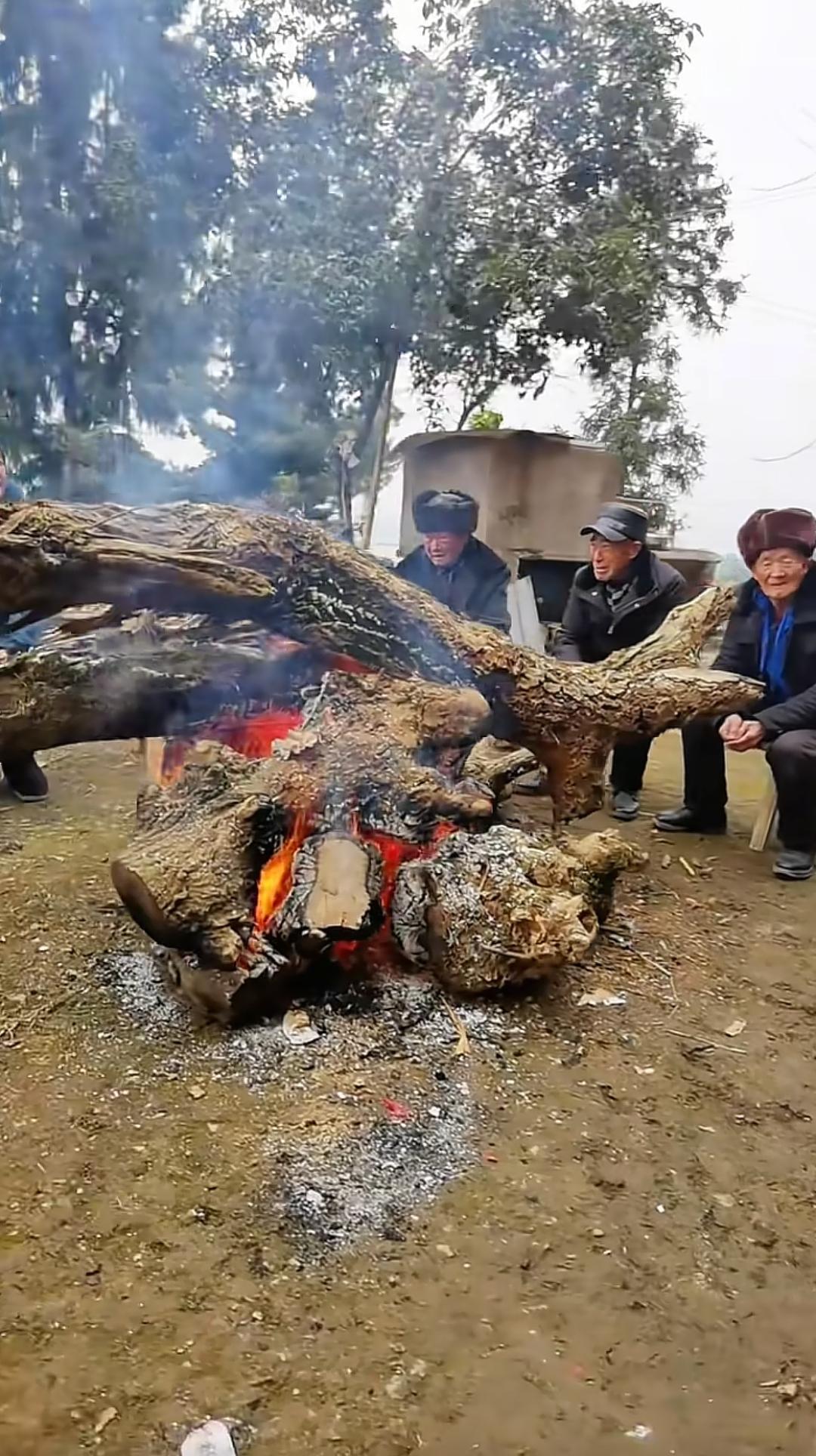 河北农村天然气取暖太贵，为什么他们不烧煤或者烧柴火呢？南方地区基本上农村都在