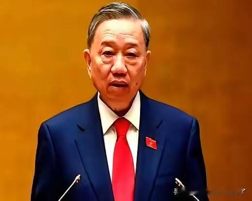 越南这次真是把“反复无常”演绎到了极致！日本驻越大使直接摊牌，百亿美元的宁顺2号