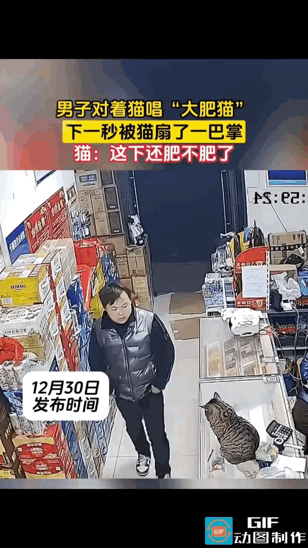 便利店老板闲得发慌，逮着自家圆滚滚的狸花猫一顿rua，嘴里还不停念叨：“你瞅瞅你