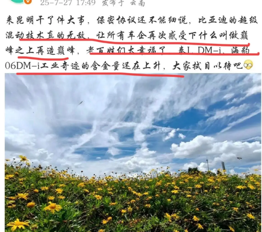 比亚迪：“兄弟们，准备接招了！”友商：“加油，看好你！”比亚迪：“话术变了？
