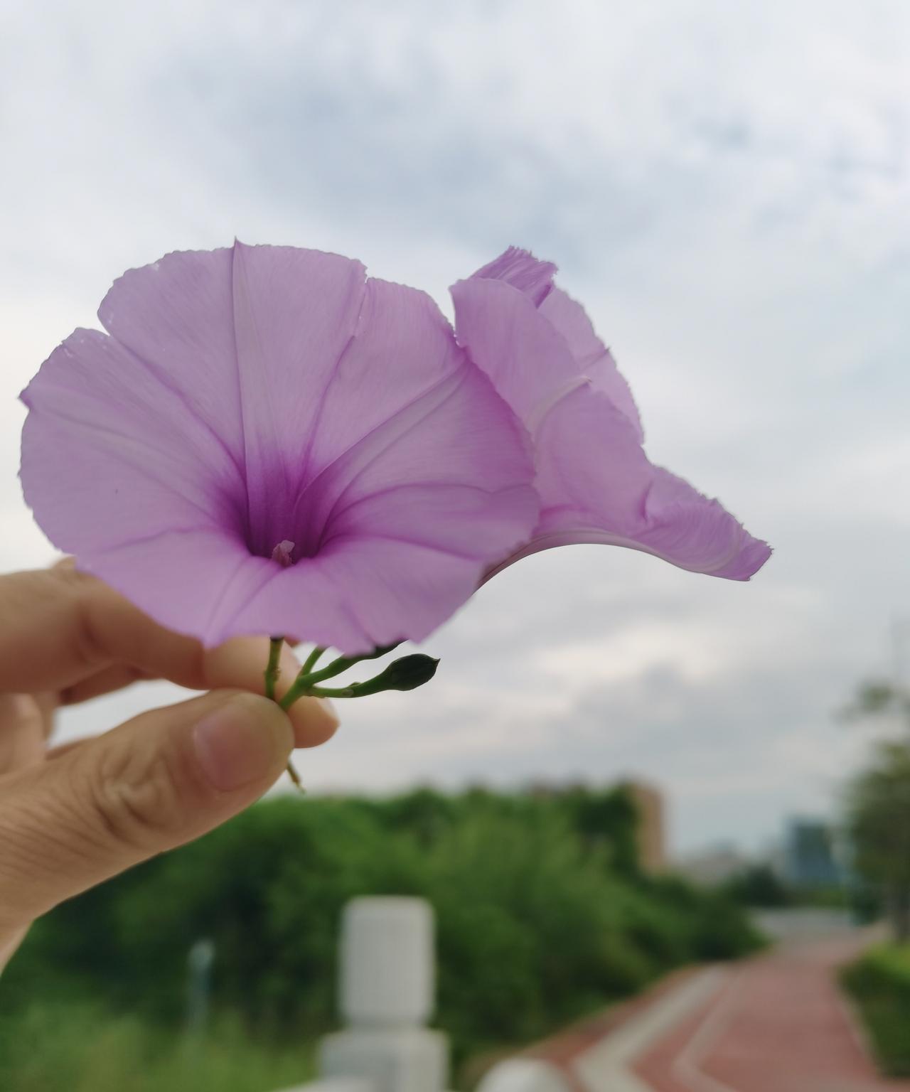 朋友的嫂子难产去世，刚出生的侄子由朋友的妈妈带着，祸不单行，侄子还没满月，朋友的