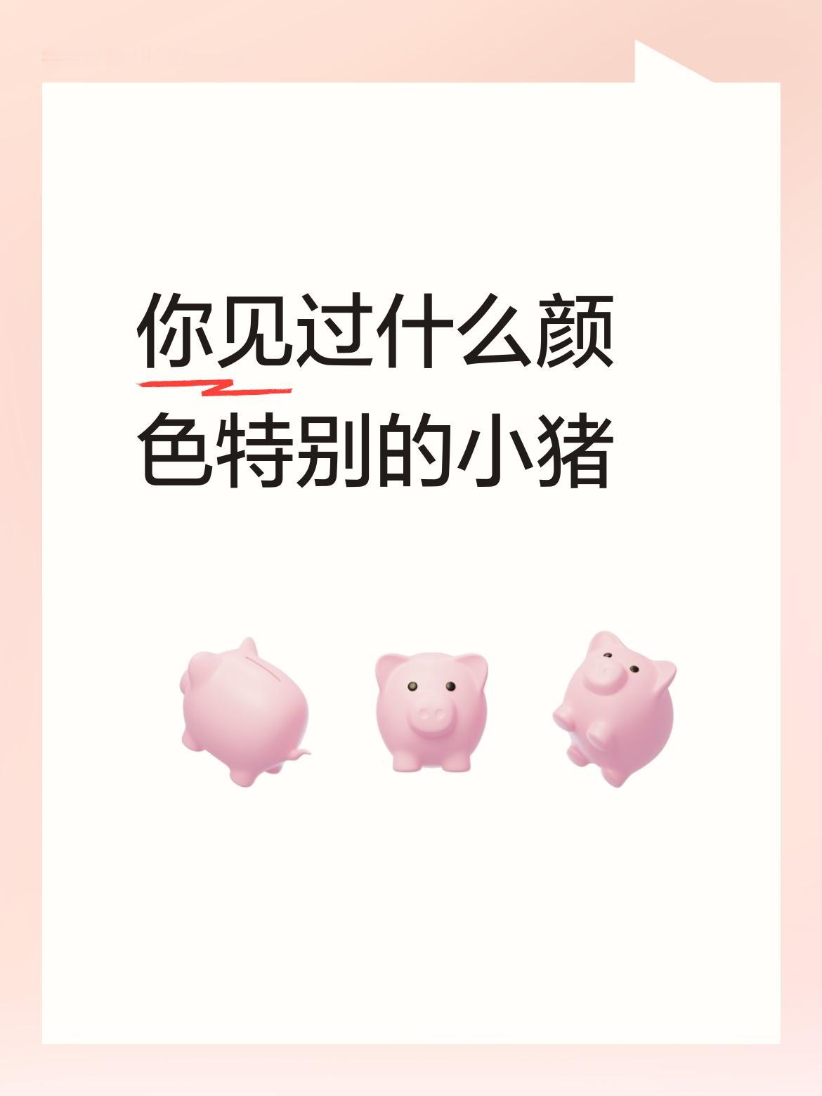你见过什么颜色特别的小猪