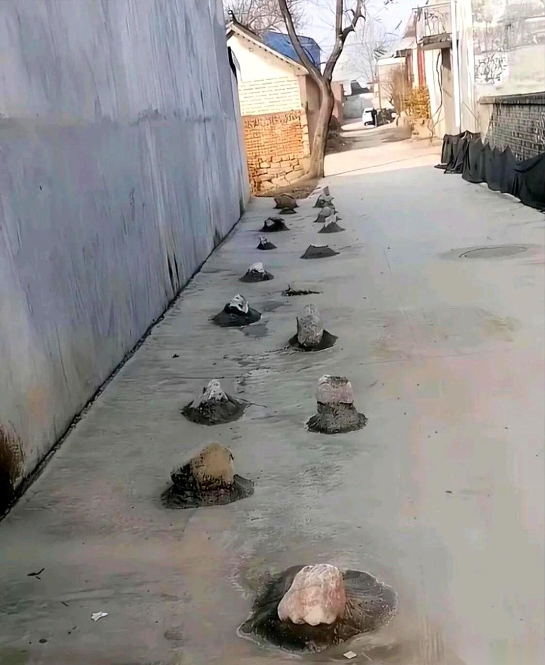 回老家扫墓，我被这一排民房的外墙给看住了。这户人家贴着墙根，密密麻麻砌了一排两