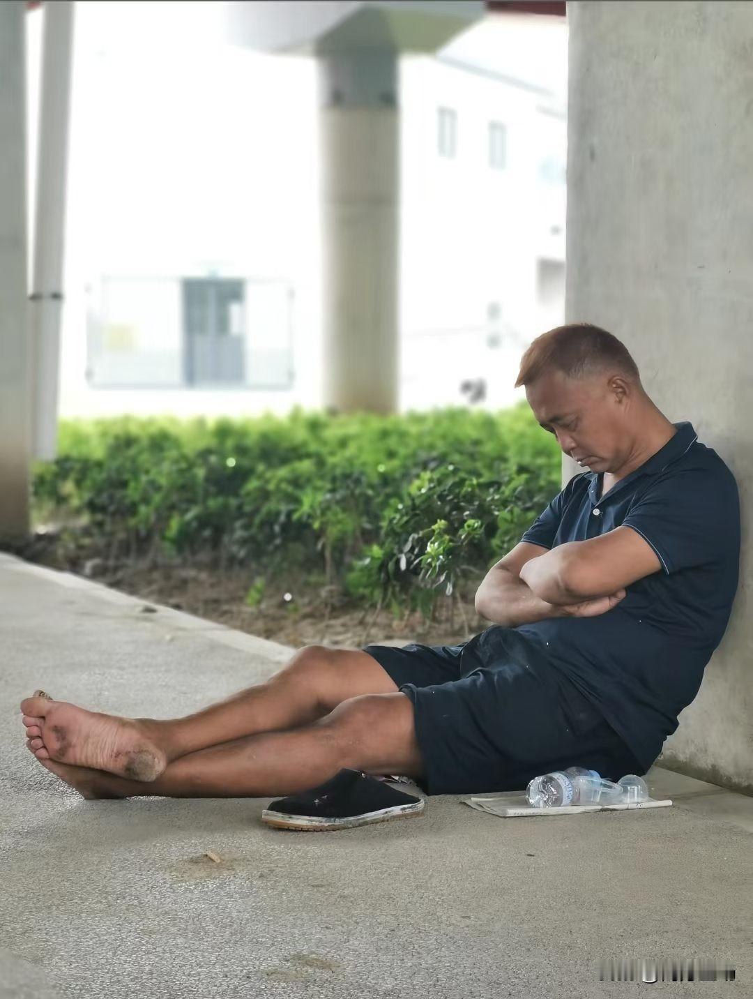 为什么大家都会同情“流浪大师”沈巍遭遇？第一层，老沈这命是真苦。从小在知识分子