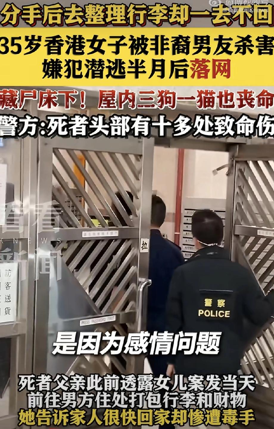 床底藏尸，连宠物都没放过！香港情侣惨案告破，凶手逃到内地也栽了！真是让人背脊