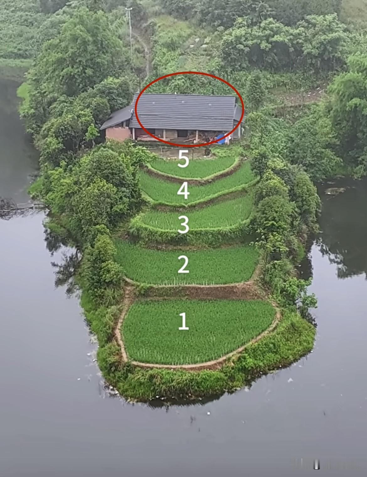 深山里的一户人家🏠三面环水，房前就是五阶稻田，风景美如画，宛如现实版的世外桃