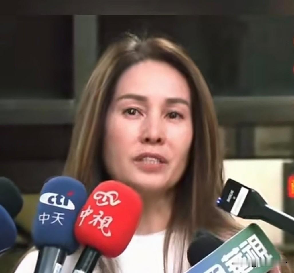 高金素梅眼里没有光了，锐气也不见了。高金素梅以100万新台币交保，暂时远离政