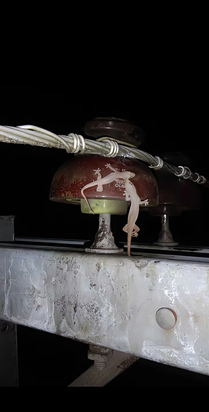 终于找到断电的原因了......