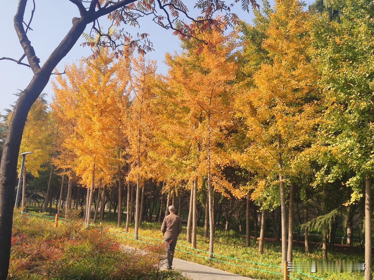 今天一个送外卖做骑手的朋友给我讲了一个他送外卖时遇到的亲身经历:他说春节前的一天