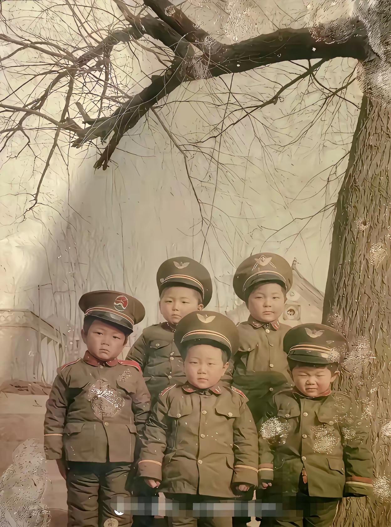 有网友说，从小的愿望，长大终于实现了。要我说，人生真的需要好好学习，读书才是很