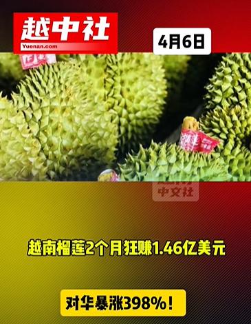越南榴莲对华出口暴涨398%！对于农产品来说，想进口多少就进口多少。尤其是国